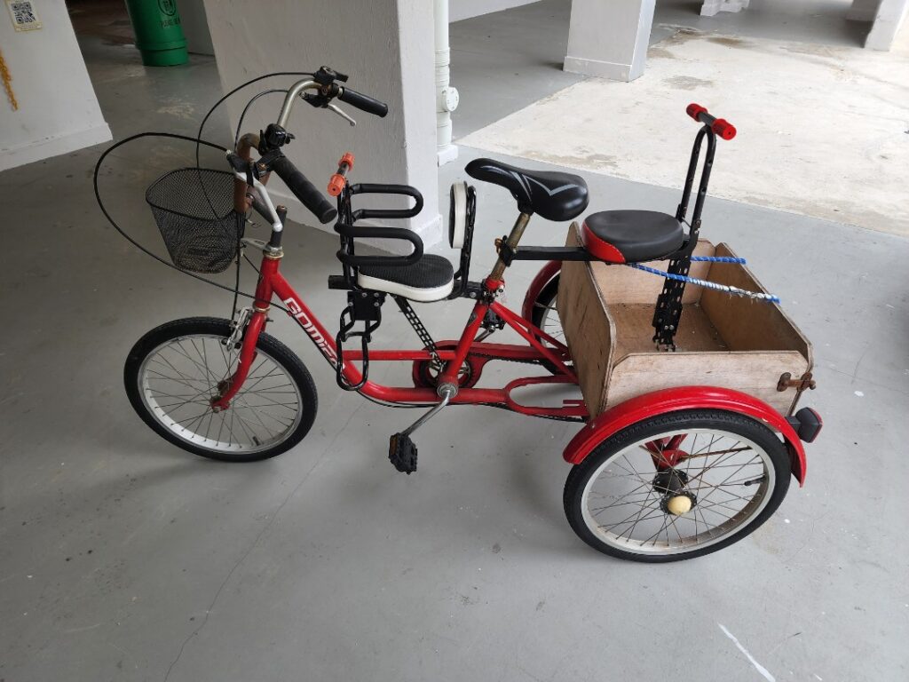 adults tricycle
